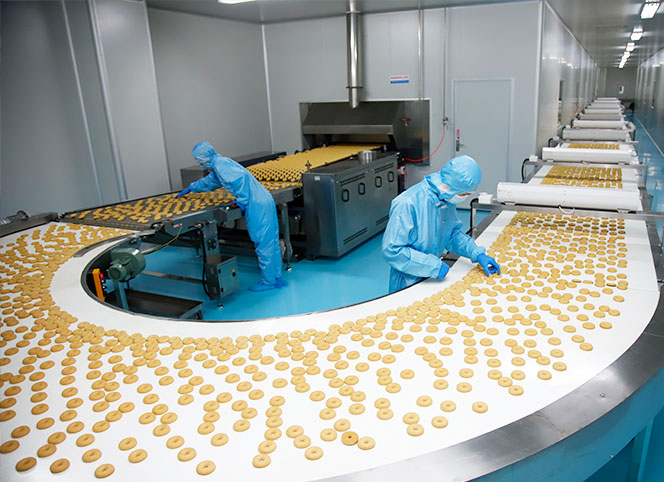 以色列进口代餐饼干全自动连续生产线